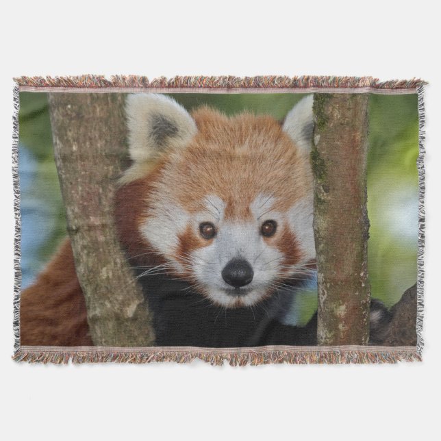 Panda Portrait Throw Blanket (Front)