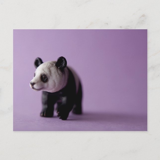 Panda Postcard (Front)