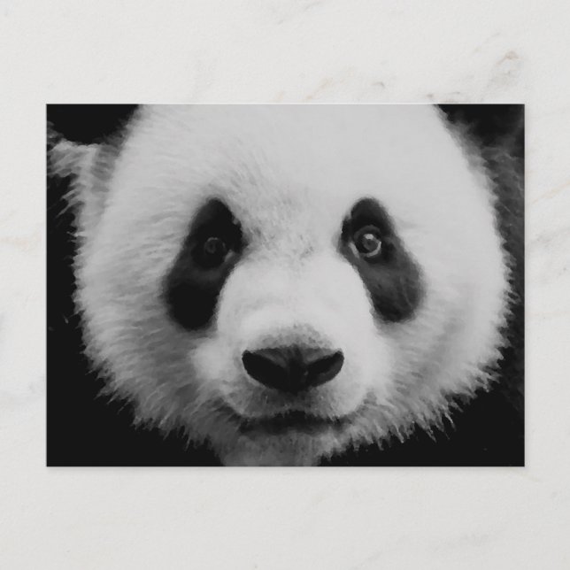 Panda Postcard (Front)