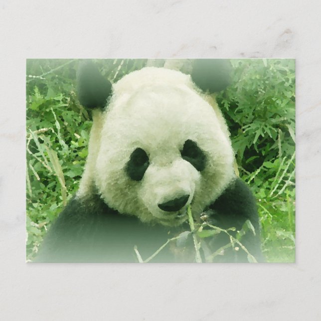 Panda Postcard (Front)