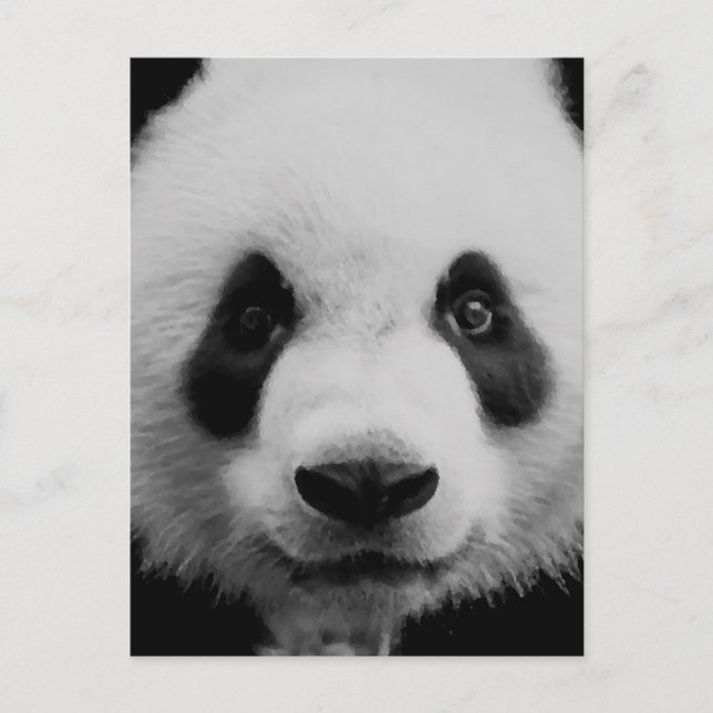 Panda Postcard (Front)