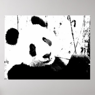 Panda Posters - Black & White Panda Face