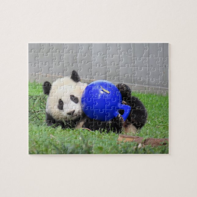 Panda puzzle - Xiao Qi ji, the miracle cub  (Horizontal)