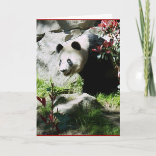 Panda Smile Birthday Card