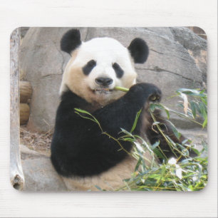 Panda Snack Mouse Pad