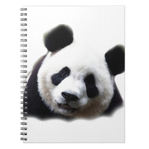 Panda Spiral Notebook