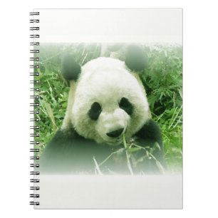 Panda Spiral Notebook