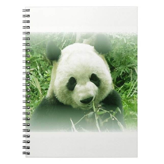 Panda Spiral Notebook (Front)