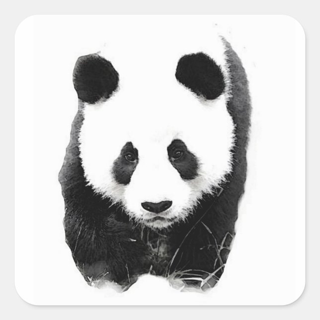 Panda Square Sticker (Front)