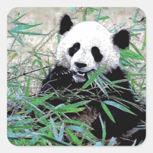 Panda Square Sticker
