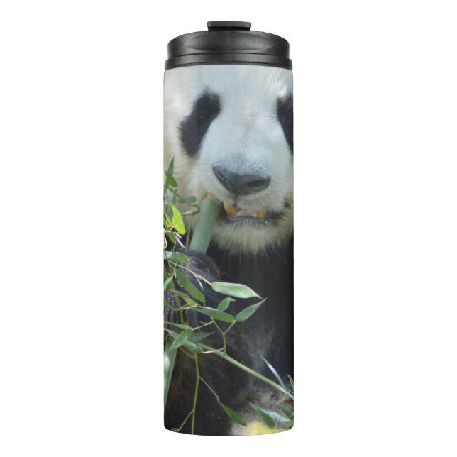 Panda Thermal Tumbler (Front)