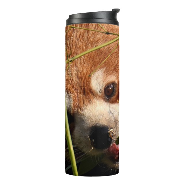 Panda Thermal Tumbler (Rotated Left)