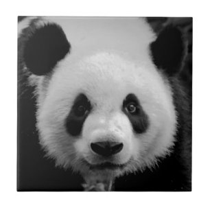 Panda Tile