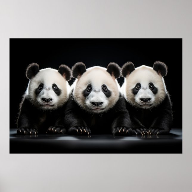 Panda Wild Animal Portrait Nature Beauty Poster (Front)