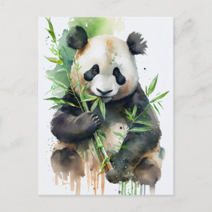 Panda with black and white fur. postcard