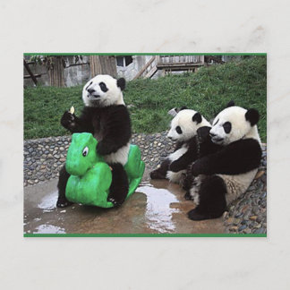 pandabeer postcard