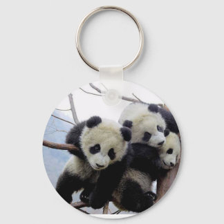 pandas key ring