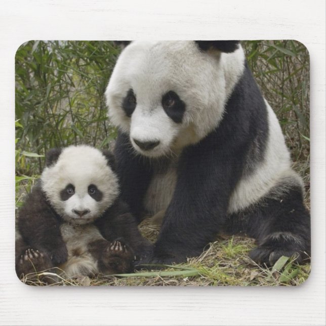 pandas mouse pad (Front)