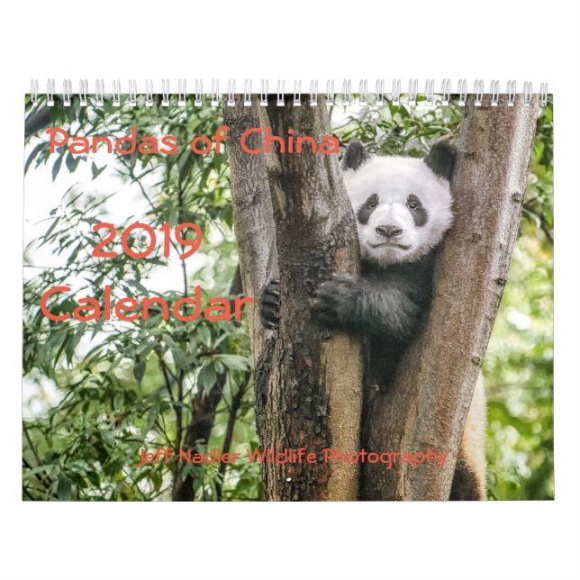 Pandas of China, 2019 Wall Calendar (Cover)