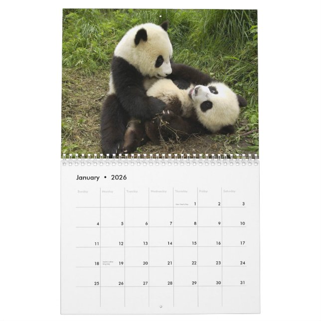 Pandas Wall Calendar (Jan 2026)
