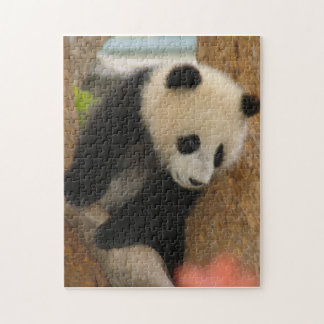 PandaSD009 Jigsaw Puzzle