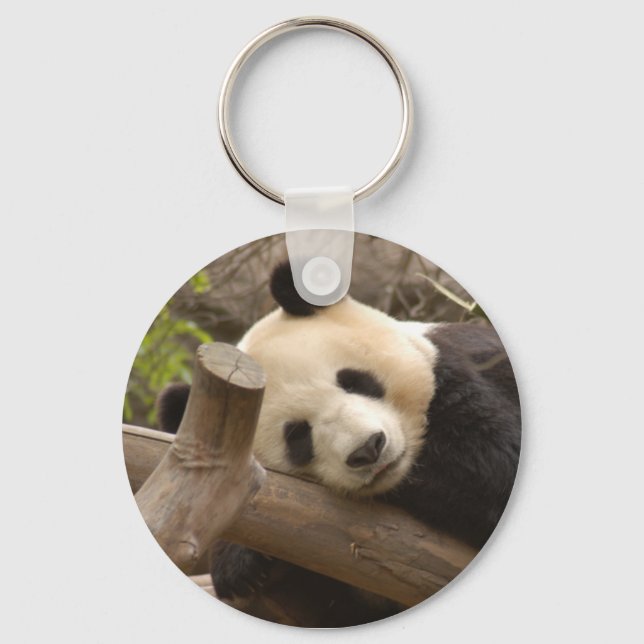 PandaSD010 Key Ring (Front)