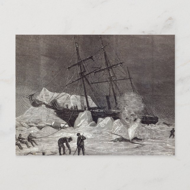 Pandora' nipped in the ice postcard (Front)