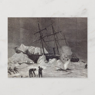 Pandora' nipped in the ice postcard