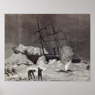 Pandora' nipped in the ice poster