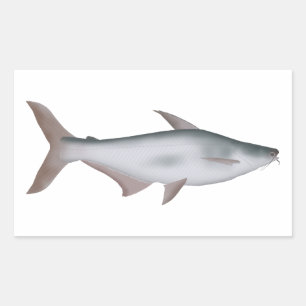 Pangas Catfish Rectangular Sticker