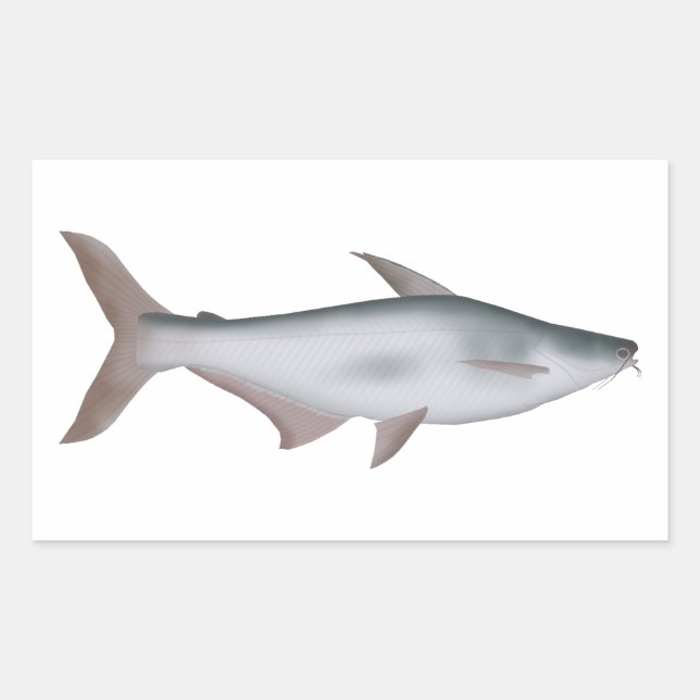 Pangas Catfish Rectangular Sticker (Front)