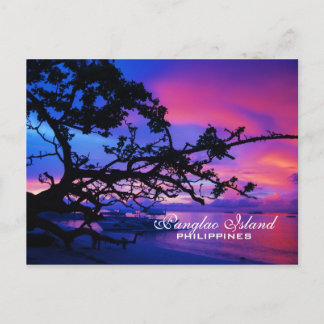 Panglao Island Postcard
