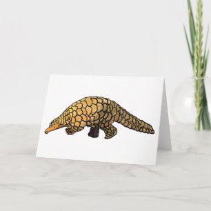 Pangolin Card