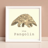 Pangolin Endangered Animal Rights Activism Art