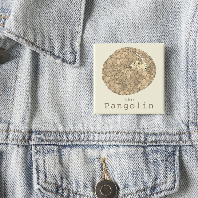 Pangolin Endangered Species Wildlife Animal Art 15 Cm Square Badge (Pangolin rolled up cute endangered wild animal art button)