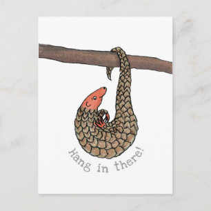Pangolin 'hang in there' postcard