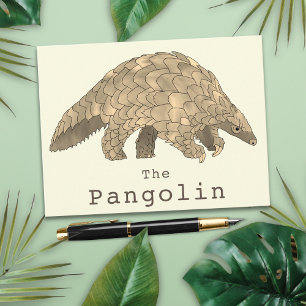 Pangolin Wildlife Endangered Species Animal Art Postcard