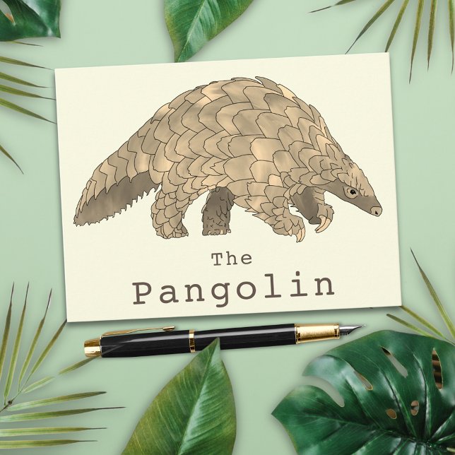 Pangolin Wildlife Endangered Species Animal Art Postcard (Pangolin animal art greetings postcard)