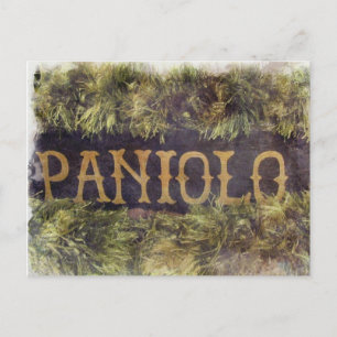 Paniolo with Lei Postcard