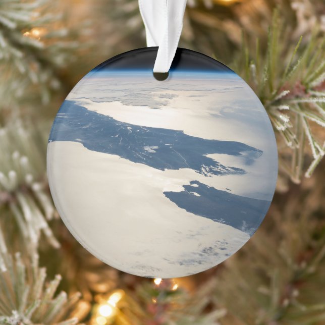 Panorama From Space Highlighting Cook Strait Ornament (Tree)