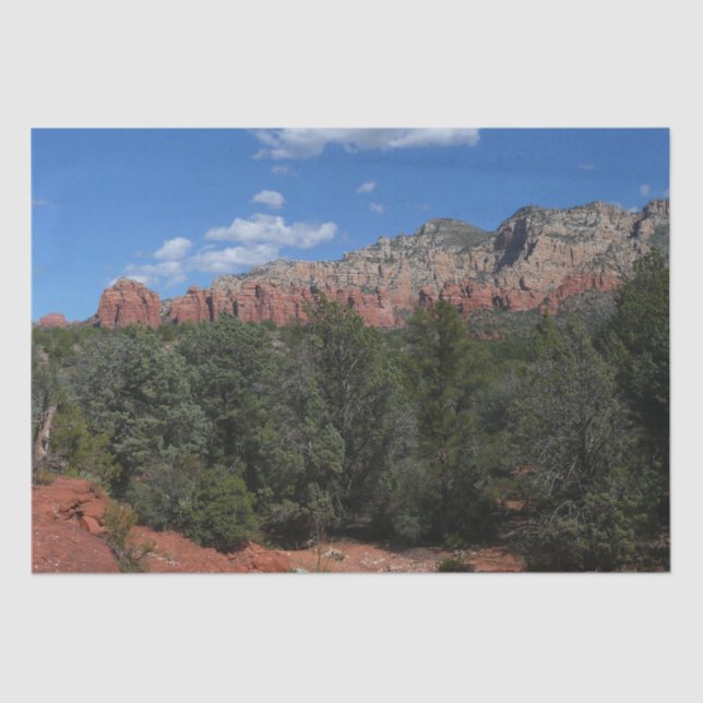 Panorama of Red Rocks in Sedona Arizona Tissue Paper (Front)