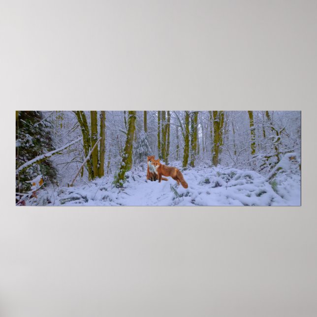 Panorama Poster (Front)