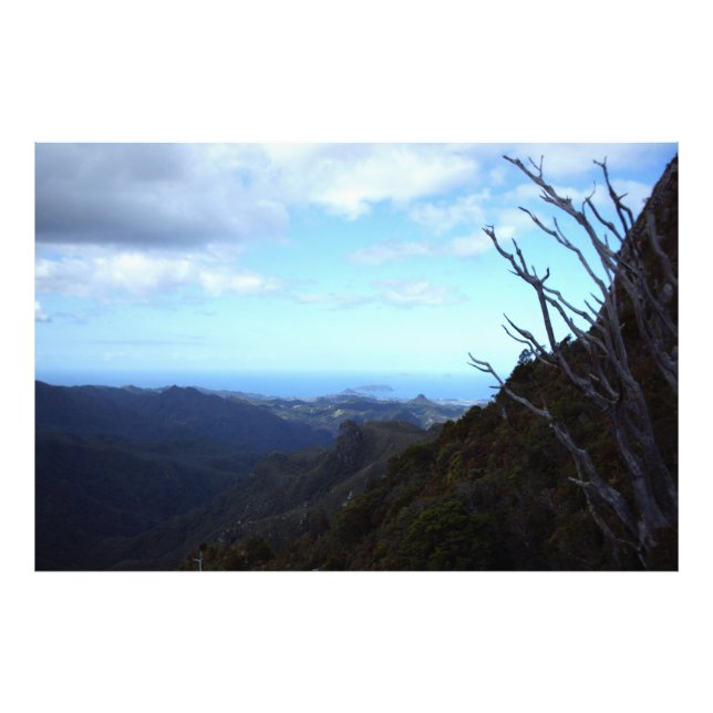 Panorama view of Coromandel Forest Park Photo Print (Front)