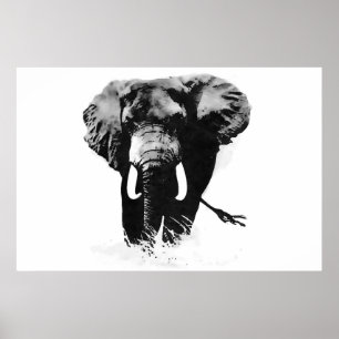 Panoramic B&W Elephant Posters Prints