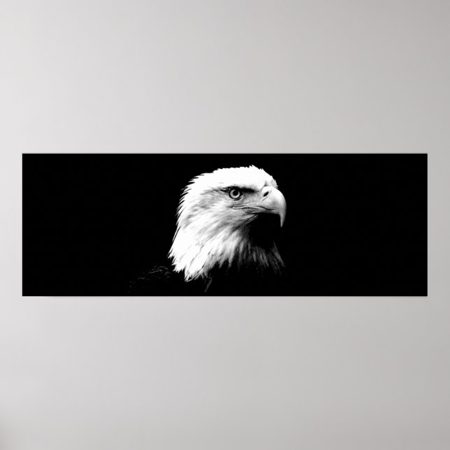 Panoramic Bald Eagle American Eagle Poster Print (Front)