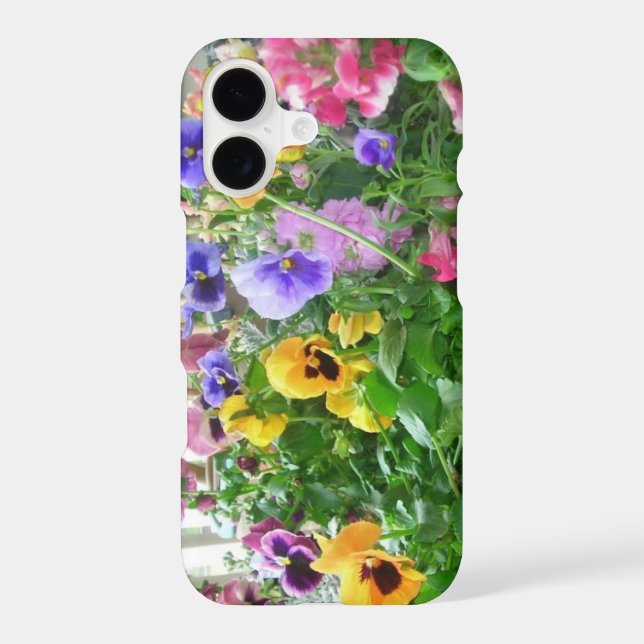 Panoramic Pansies (Back)
