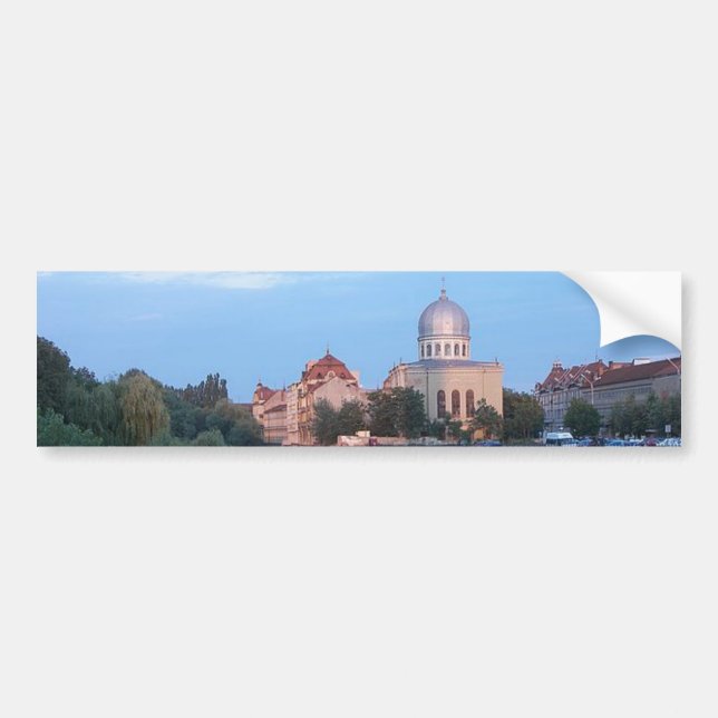Panoramic View Bumper Sticker (Front)