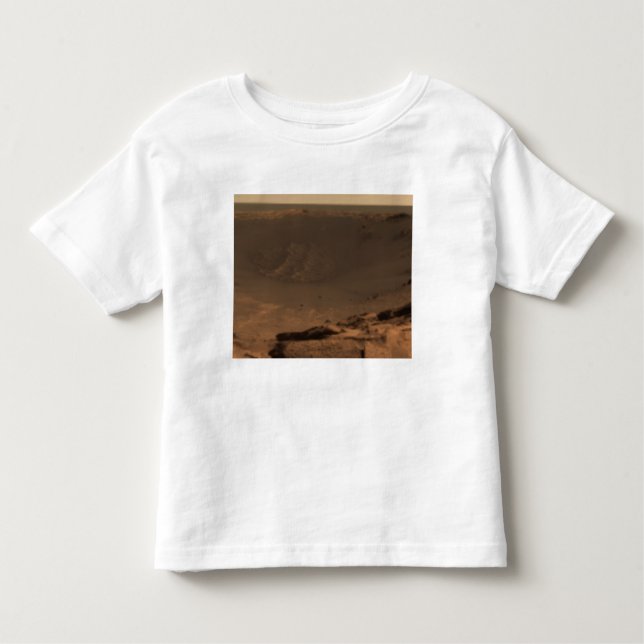 Panoramic view of Mars 9 Toddler T-Shirt (Front)