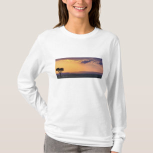 Panoramic view of single acacia tree at T-Shirt