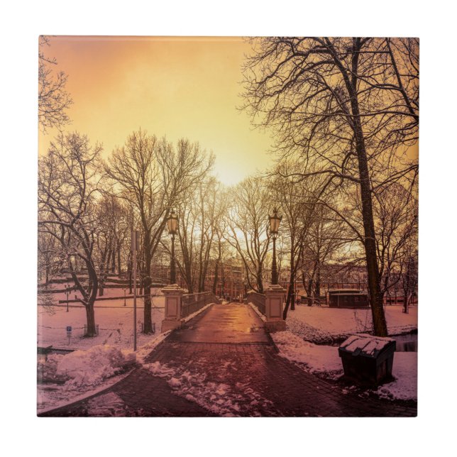 Panoramic view of snowy park during sunset in Riga Tile (Front)